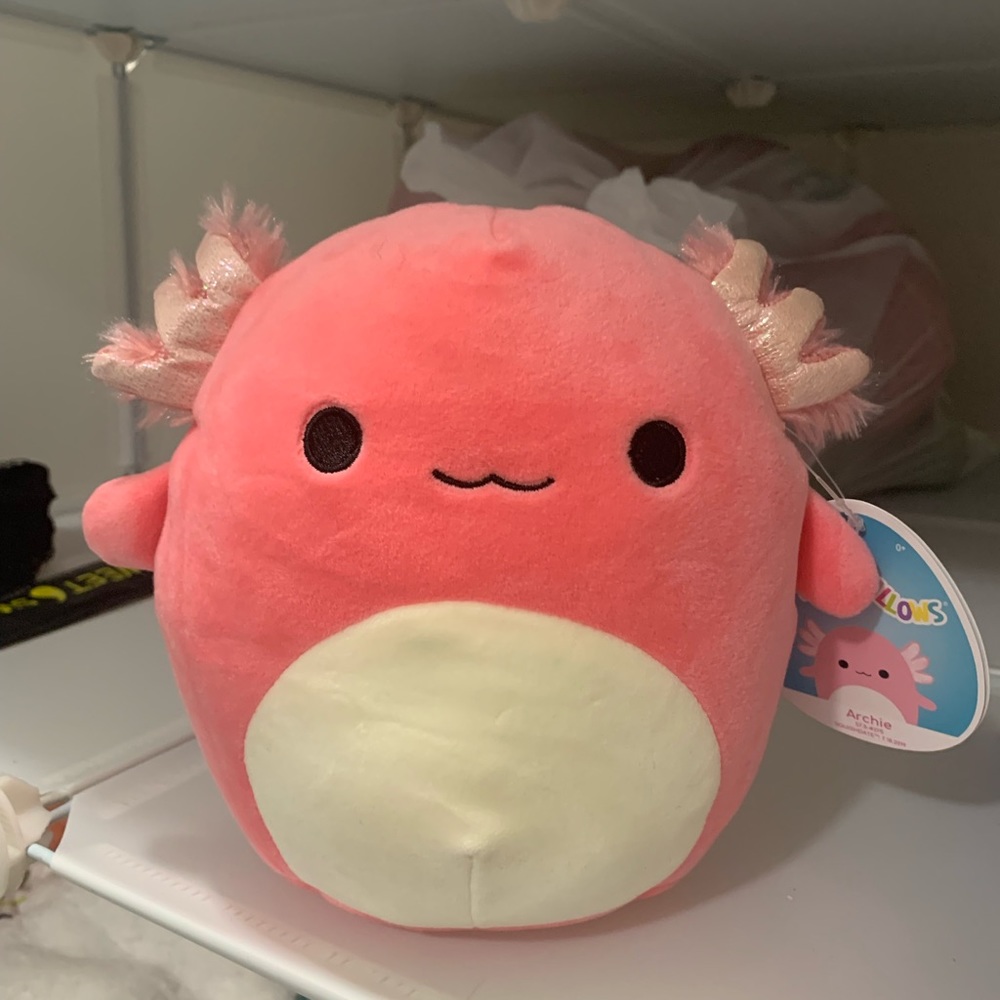 8" hot pink rare Archie squishmallow BNWT